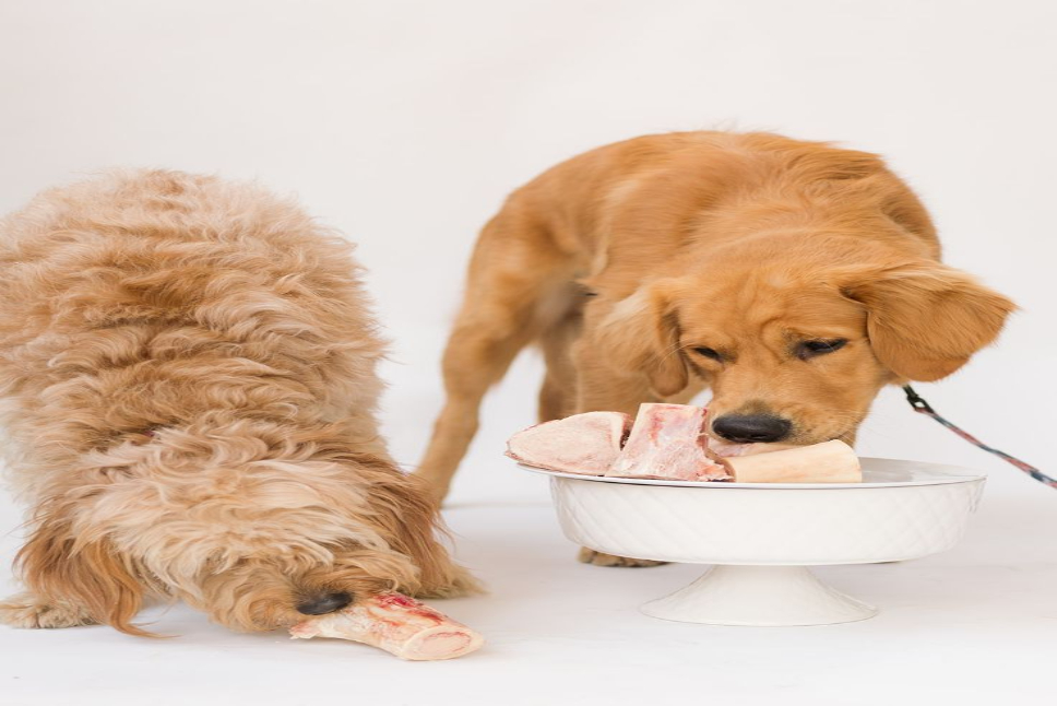 Beef Bones for Dogs