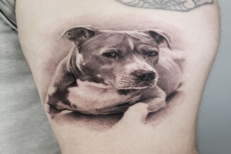 Dog Portrait Tattoo